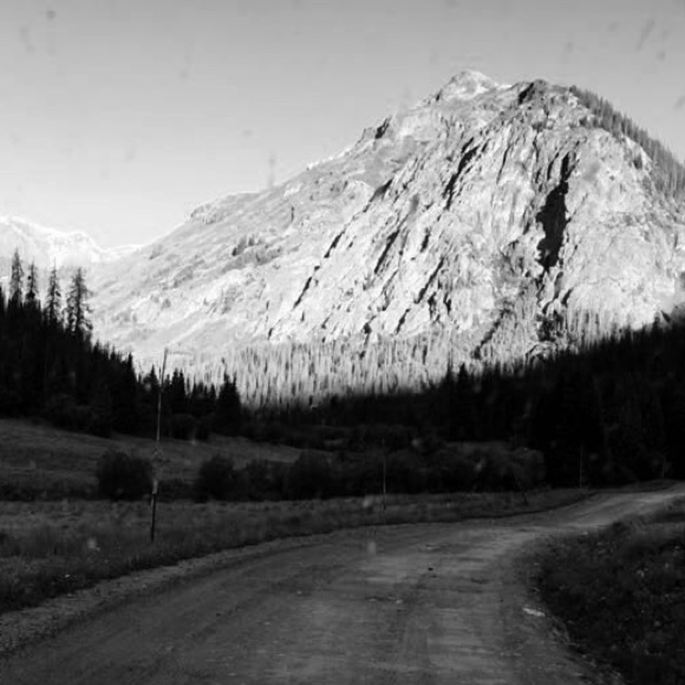 Meet your Posher, Reiley